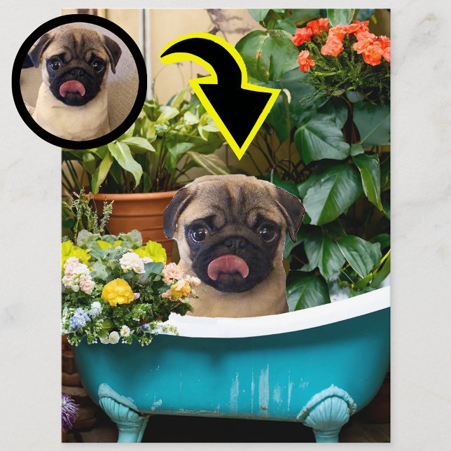 Postal Anuncio de nacimiento de cachorro personalizado (Subido por el creador)