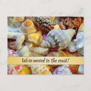 Postal Anuncio de Nueva Dirección en Pretty Seashells Coa