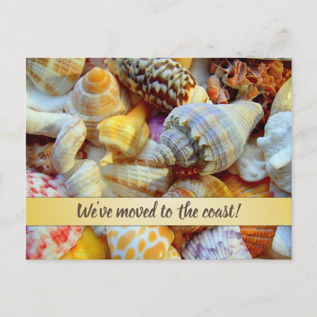 Postal Anuncio de Nueva Dirección en Pretty Seashells Coa (Anverso)
