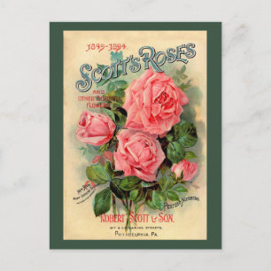 Postal Anuncio de Rosas escoceses