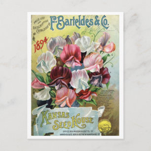 Postal Anuncio de semilla vintage