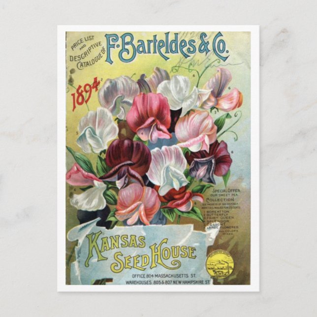 Postal Anuncio de semilla vintage (Anverso)