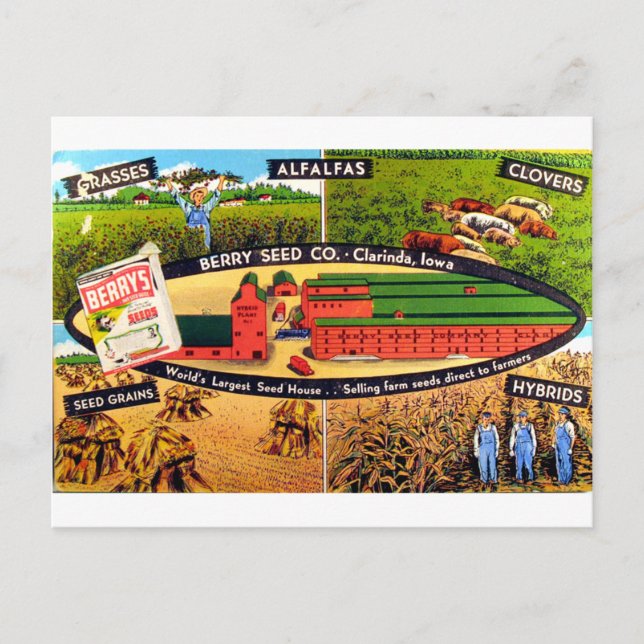 Postal Anuncio de semilla vintage (Anverso)