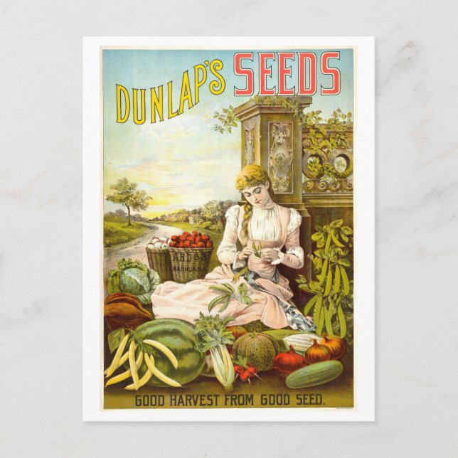 Postal Anuncio de semillas de verduras de Dunlap (Anverso)