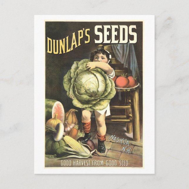 Postal Anuncio de semillas de verduras de Dunlap (Anverso)