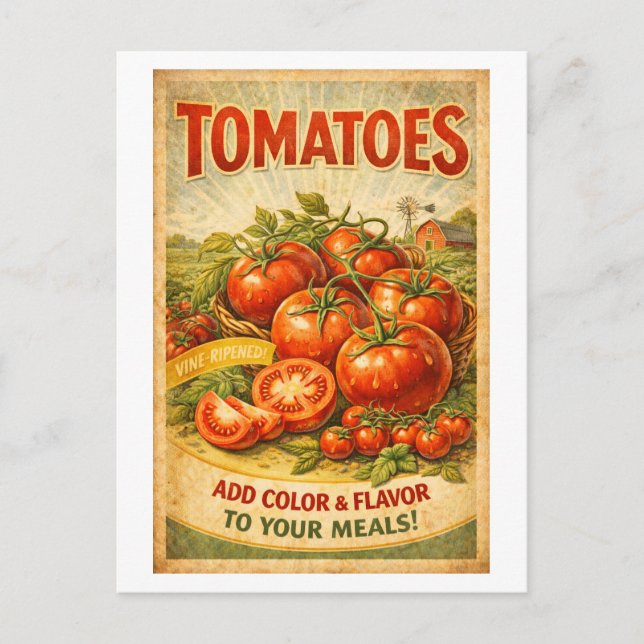 Postal Anuncio de Tomates al Estilo Antiguo (Anverso)