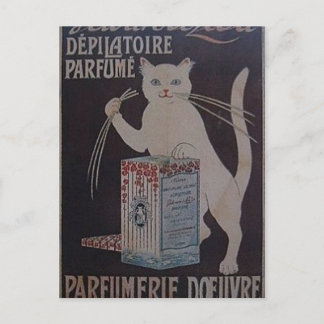 Postal Anuncio francés vintage - gatos