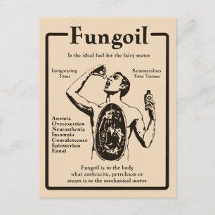 Postal Anuncio fungoil - Postcard