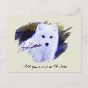 Postal *~* AP18 Polar Twig Fox White Snow Fox Ártico