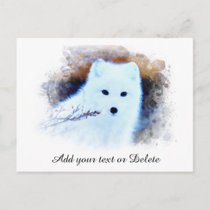 Postal *~* AP18 Trwig Snow Fox White Fox Polar Ártico