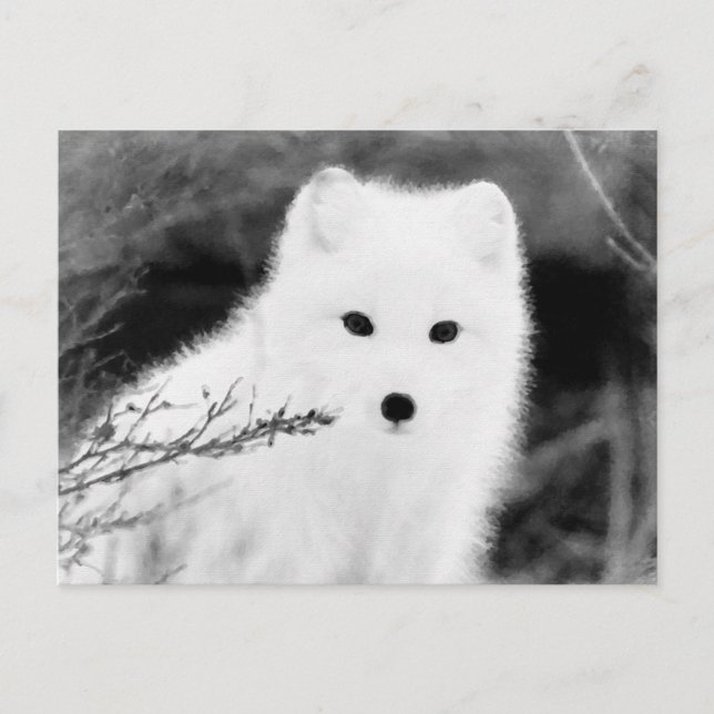 Postal *~* AP18 Twig Fox White Snow Fox Polar Ártico (Anverso)