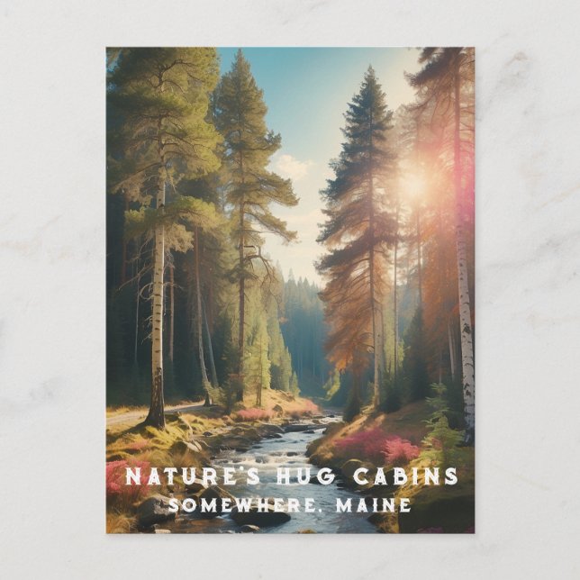 Postal *~* AP49 Maine Forest Woods Stream Vacation (Anverso)