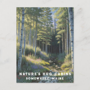 Postal *~* AP49 Nature Maine Forest Woods Vacation Stream