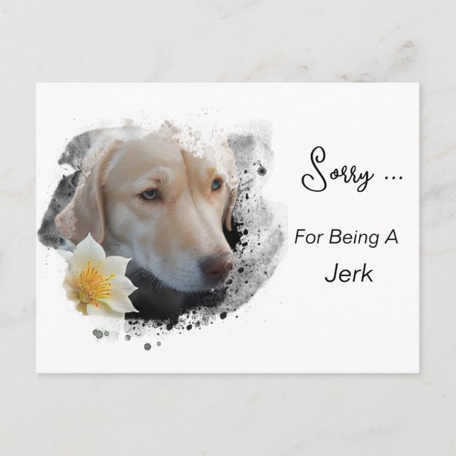 Postal *~* AP61 Triste Retriever Labrador Flor Lo siento  (Anverso)