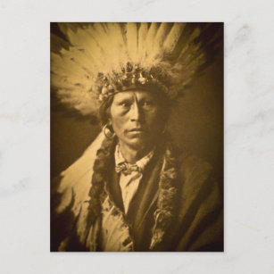 Postal Apache Chief Garfield Indian Vintage
