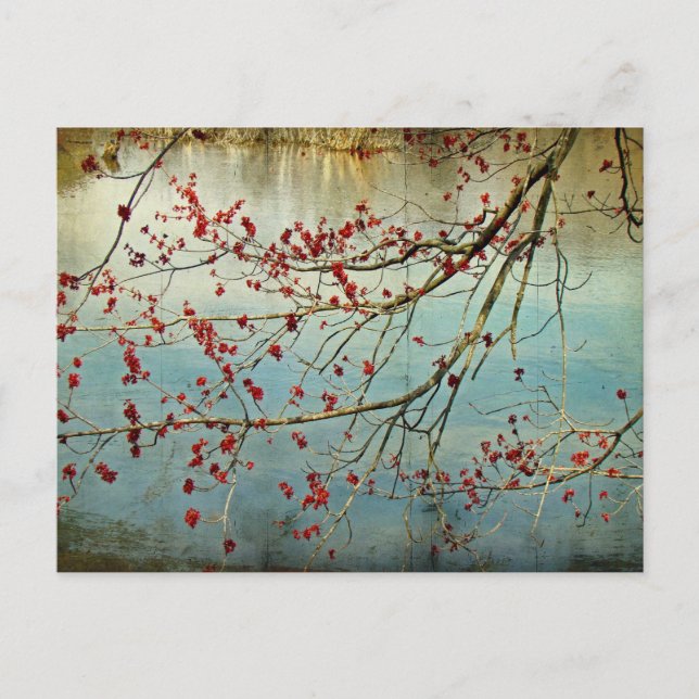 Postal Apagón (Anverso)