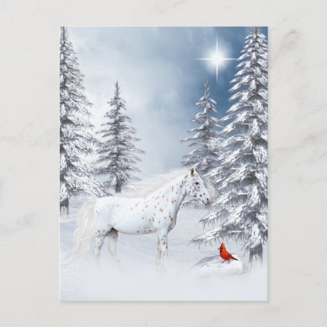 Postal Apaloosa de invierno (Anverso)