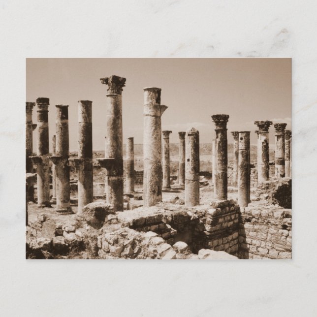 Postal Apamea (Anverso)