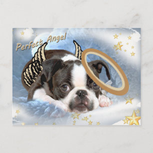 Postal Aparatos y regalos del Ángel Terrier de Boston