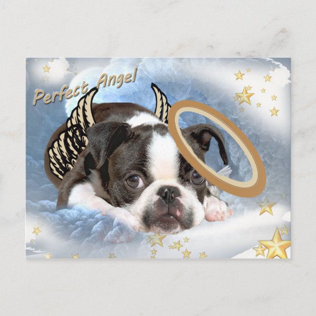 Postal Aparatos y regalos del Ángel Terrier de Boston (Anverso)