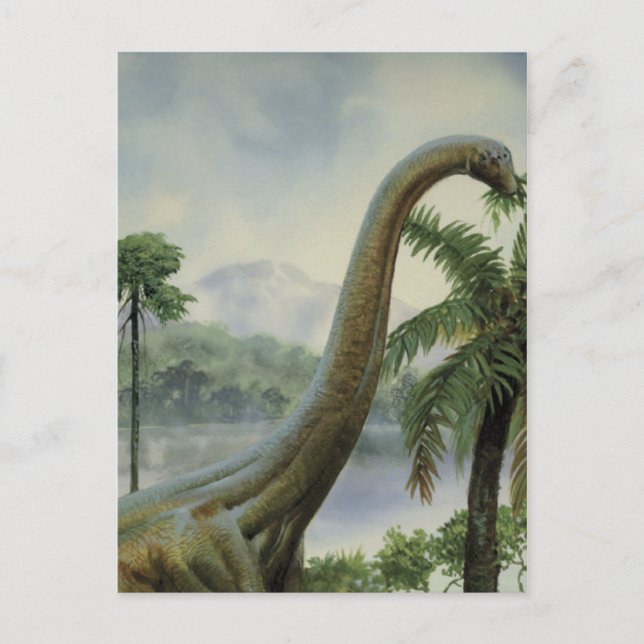 Postal Apatosaurus (Brontosaurus) Ilustracion Comedor (Anverso)