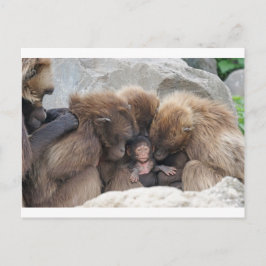 Postal Ape