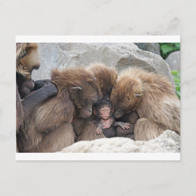 Postal Ape (Anverso)