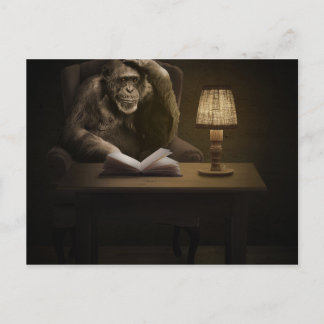 Postal Ape Chimpanzee Monkey