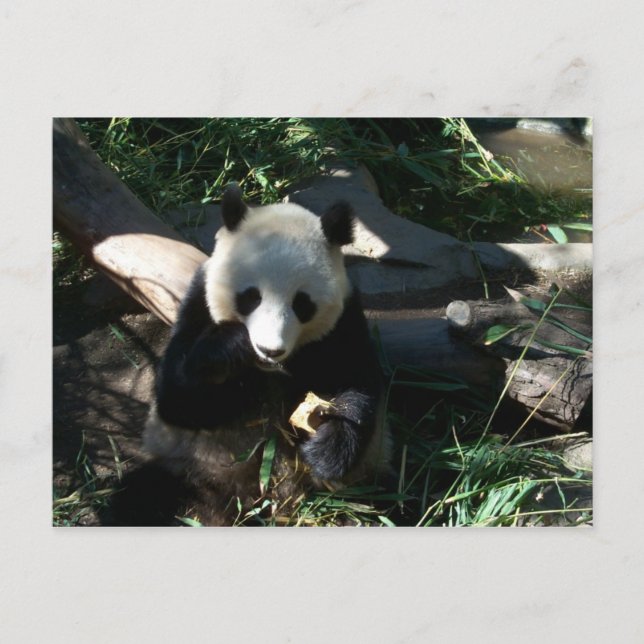 Postal Aperitivo nocturno (Anverso)