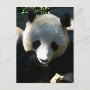 Postal Aperitivos por la tarde 1