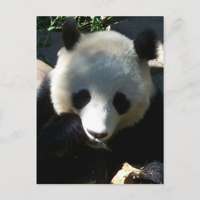 Postal Aperitivos por la tarde 1 (Anverso)