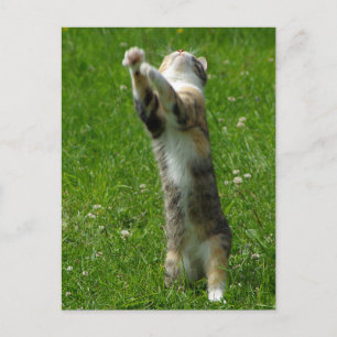 Postal Aplaudan las manos y estampen los pies