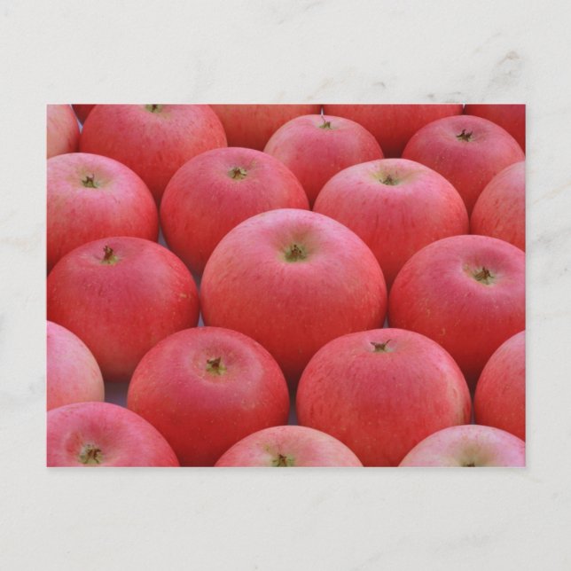 Postal Aplicaciones de detección (Anverso)