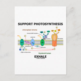 Postal Apoyar la Fotosíntesis Exhala (Medioambiental)