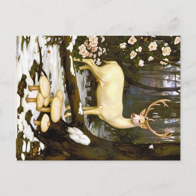 Postal Appalachian Animals  (Anverso)