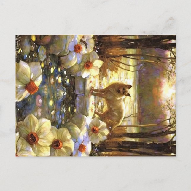 Postal Appalachian Animals (Anverso)