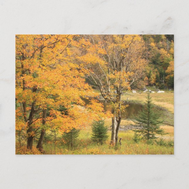 Postal Appalachian Gap Pond Vermont (Anverso)