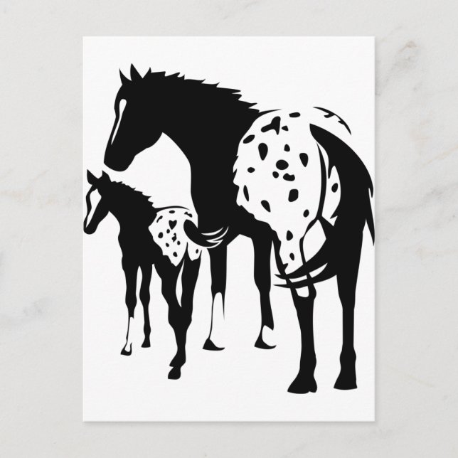 Postal Appaloosa Mare y Foal (Anverso)