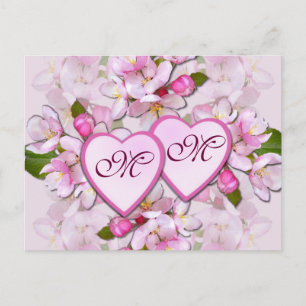 Postal APPLE BLOSSOM & HEARTS ~ Postcard