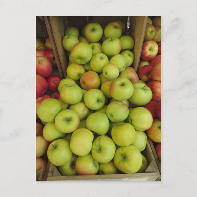 Postal Apple Bundle (Anverso)