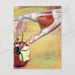 Postal APPLE.jpg