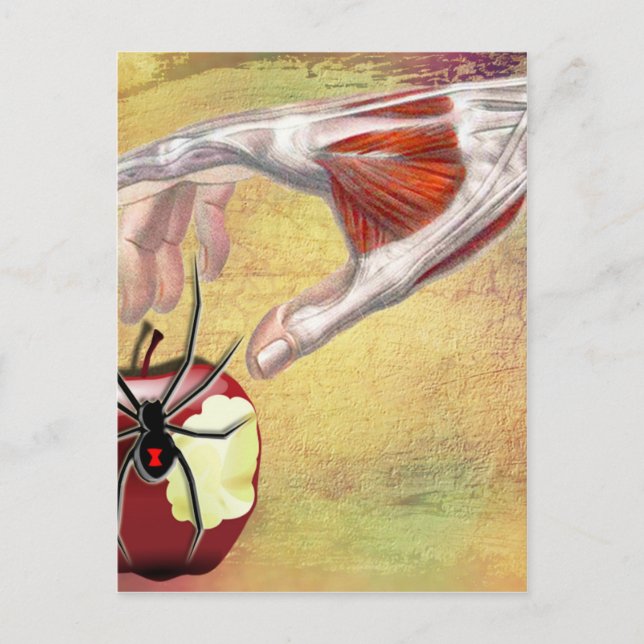 Postal APPLE.jpg (Anverso)