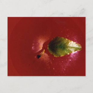 Postal Apple Rojo