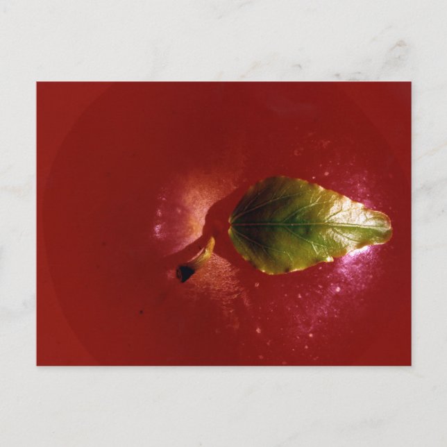 Postal Apple Rojo (Anverso)