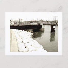 Postal Approachable Wolf Post Card Print