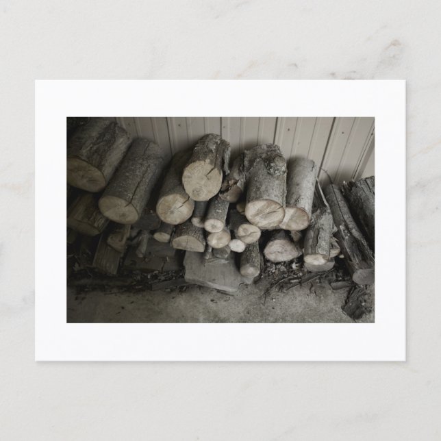 Postal Approachable Wolf Post Card Print (Anverso)