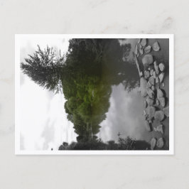 Postal Approachable Wolf Post Card Print