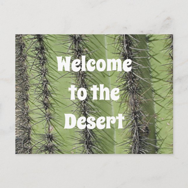Postal Apreciación de Saguaro Cactus Desert Photo Realty (Anverso)