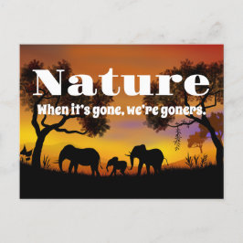 Postal Apreciar la naturaleza y los elefantes