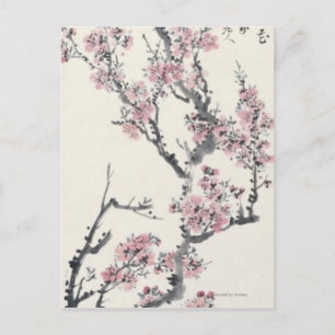 Postal Apricot